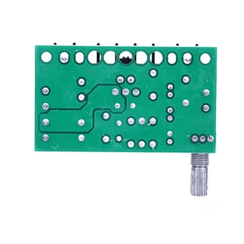CentIoT - Digital Audio Amplifier Module - Class AB (30W Mono, with Volume Control)