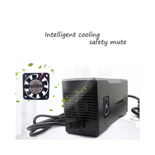 CentIoT - 6S NMC Lithium Battery Charger 22.2V-25.2V