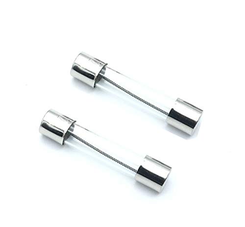 CentIoT® - 2PCS - 6X30MM Slow Melt Glass Fuse | Time delay Insurance Tube Fuse | Suitable for Microwave Oven