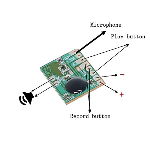 CentIoT - Voice Music Recording Module