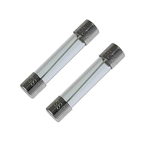 CentIoT - 2 Pieces - Fast Blow Glass Tube Fuses - 6MM x 30MM 250V